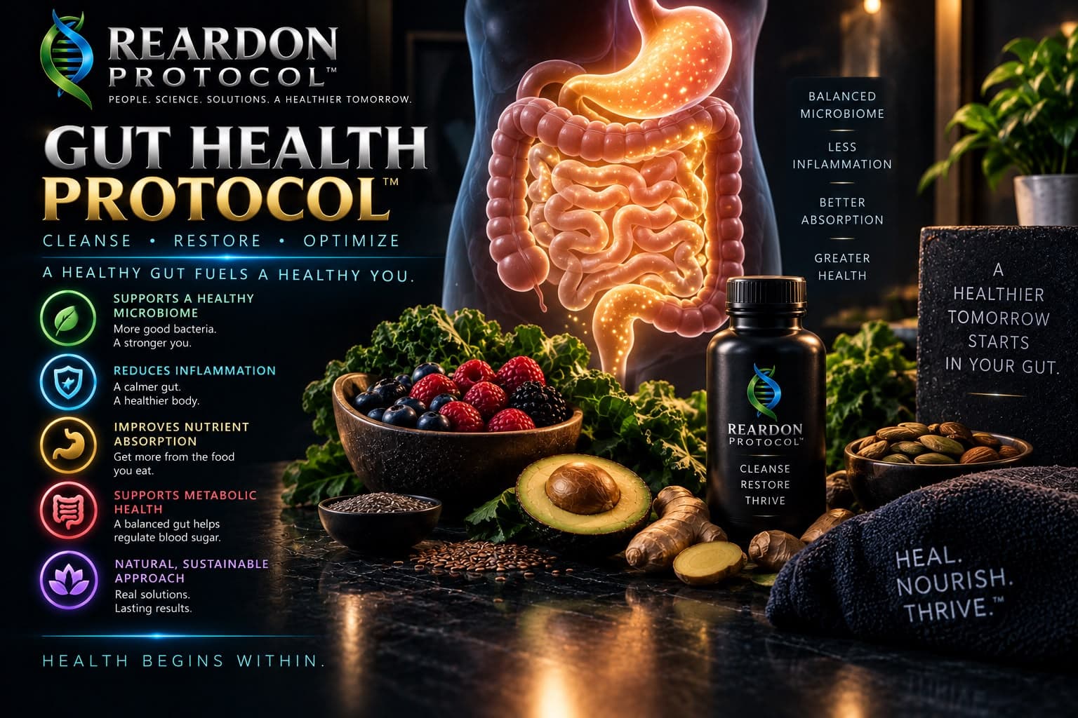 A glowing digestive tract above a counter of berries, kale, avocado, ginger, seeds and nuts, beside a list of microbiome, inflammation, absorption and metabolic benefits.