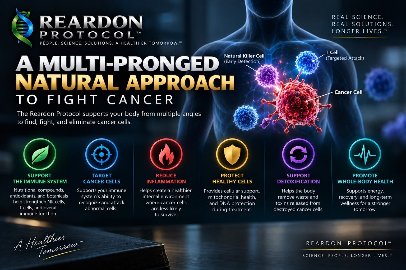 A human silhouette with a natural killer cell, a T cell and a cancer cell, above six icons: support the immune system, target cancer cells, reduce inflammation, protect healthy cells, support detoxification and promote whole-body health.